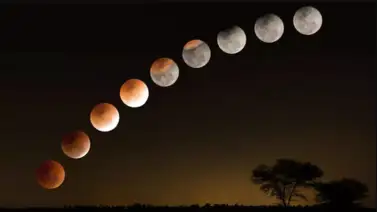 Actividades a realizaran en cada lunación Actividades a realizaran en cada lunación