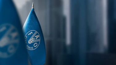 ¿De qué trata?: FAO establece plan de respuesta alimentaria para Venezuela