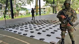 Panamá incauta más de una tonelada de marihuana