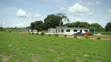 Ladrón de ganado es condenado a trece años de cárcel: Sepa más Ladrón de ganado es condenado a trece años de cárcel: Sepa más