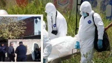 ¡Horrible! Jugaba en su patio y halló el cadáver de un bebé