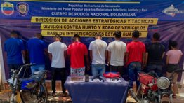 Desmantelan bandas dedicadas al robo y hurto de ganado en el país