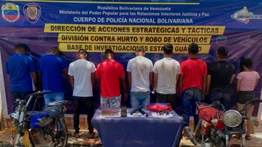 Desmantelan bandas dedicadas al robo y hurto de ganado en el país