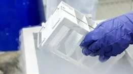 Empleado arruina 20 años de investigación científica