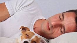¿Es malo o bueno dormir con el perro en la cama?