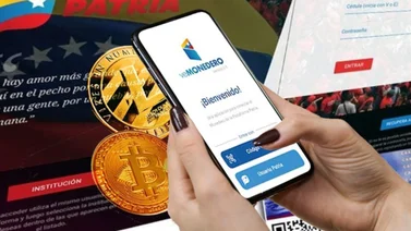 ¿No puedes hacer transferencias desde Patria? Sigue estos pasos