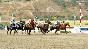 La Rinconada: Tarde de clásicos, Cría Nacional y Fuerzas Armadas en la reunión 25 del domingo 2 de julio La Rinconada: Tarde de clásicos, Cría Nacional y Fuerzas Armadas en la reunión 25 del domingo 2 de julio