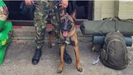 Fuerzas Militares reconocen que es improbable encontrar a Wilson