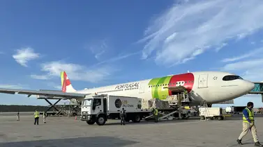 Venezuela arranca la siembra con semillas de palma de aceite: Sepa desde dónde las trajeron Venezuela arranca la siembra con semillas de palma de aceite: Sepa desde dónde las trajeron