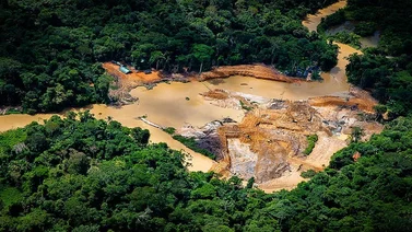 Declaran “libre de minería ilegal” la tierra indígena Yanomami