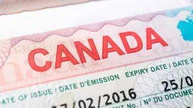 Así puede solicitar la visa canadiense desde Venezuela (+Requisitos) Así puede solicitar la visa canadiense desde Venezuela (+Requisitos)