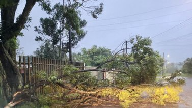 Brasil en alerta por ciclón extratropical: Reportan inundaciones (+Video)