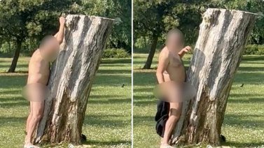 ¿Cómo le habrá quedado aquello? Detienen a un hombre por tener sexo desenfrenado con un árbol