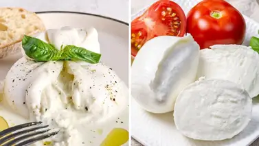 Diferencias entre el queso mozzarella y la burrata Diferencias entre el queso mozzarella y la burrata