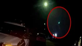 ¿Contacto extraterrestre? Lo que vio una familia fuera de su casa (+Video)