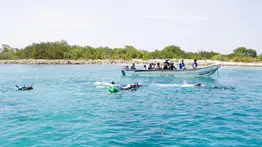 Inauguran vivero de corales para repoblar la especie en el centro-norte del país