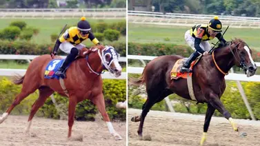 La Rinconada: Así ajustan los invictos de cara al Clásico "José Antonio Páez" La Rinconada: Así ajustan los invictos de cara al Clásico "José Antonio Páez"