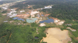 FANB captura in fraganti a hombre con actos terroristas de ecocidio