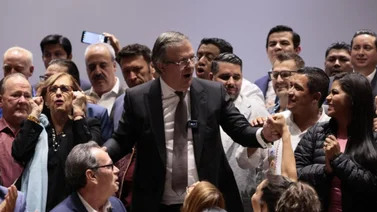 Canciller mexicano anuncia separación de su cargo (+Detalles)