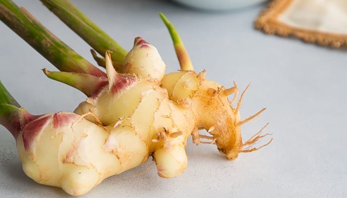 Conoce las bondades de consumir jengibre