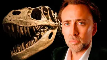 Nicolas Cage pagó una fortuna por este objeto y se lo quitó el Estado de Mongolia Nicolas Cage pagó una fortuna por este objeto y se lo quitó el Estado de Mongolia