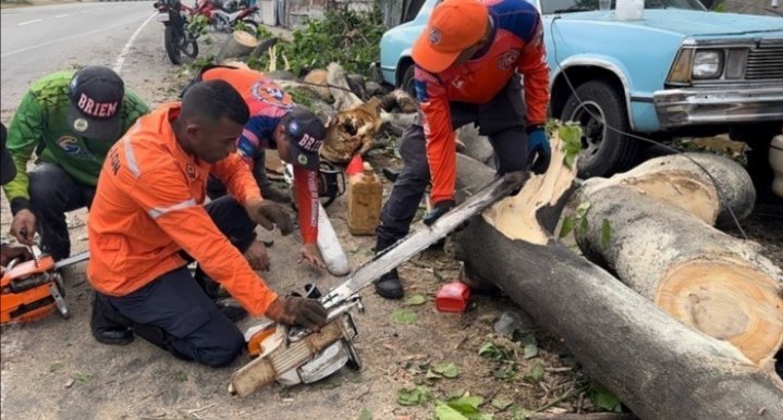 Lluvias dejan daños en La Guaira: Hay más de 150 funcionarios desplegados Lluvias dejan daños en La Guaira: Hay más de 150 funcionarios desplegados