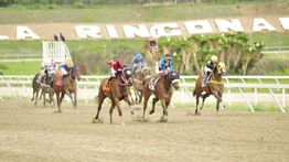 Clásico "Hipódromo La Rinconada" primer paso a la triple corona para yeguas