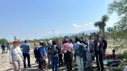 Migrantes venezolanos sufrieron accidente vial en México: El INM les otorgó este permiso