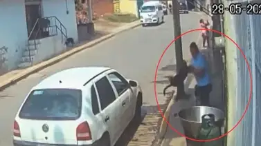 ¡Terrible! Hombre arroja a un perro en olla de aceite (+Video) ¡Terrible! Hombre arroja a un perro en olla de aceite (+Video)