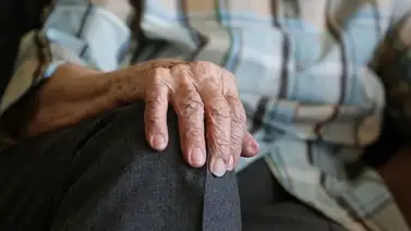 Sepa cuántas denuncias de los adultos mayores procesó la Fiscalía en el último mes Sepa cuántas denuncias de los adultos mayores procesó la Fiscalía en el último mes