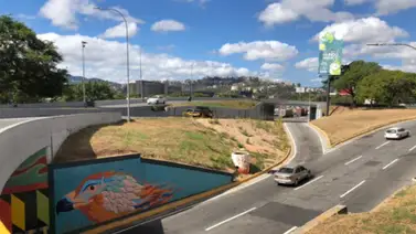 ¡Aunque usted no lo crea! Insecto causó accidente en el distribuidor Altamira (+Video) ¡Aunque usted no lo crea! Insecto causó accidente en el distribuidor Altamira (+Video)