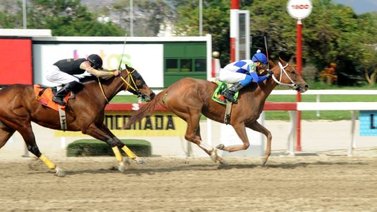 Estos tres ejemplares destacan para la tercera carrera de la R20 en La Rinconada
