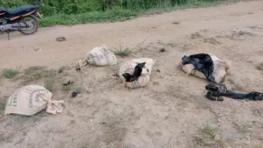 ¡Dantesco! Hallan cadáveres desmembrados dentro de varios sacos ¡Dantesco! Hallan cadáveres desmembrados dentro de varios sacos