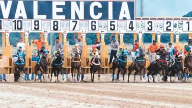 Hipódromo Nacional de Valencia da a conocer los inscritos para la reunión 10 de este sábado 27 de mayo Hipódromo Nacional de Valencia da a conocer los inscritos para la reunión 10 de este sábado 27 de mayo