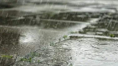 Desplegarán plan preventivo contra inundaciones en tres estados de la región andina Desplegarán plan preventivo contra inundaciones en tres estados de la región andina