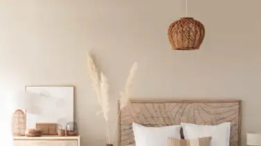 Dale un toque natural a tus ambientes Dale un toque natural a tus ambientes