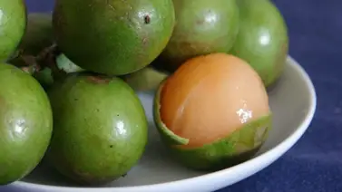 ¡Trágico! Muere un bebé tras atragantarse con la semilla de una fruta ¡Trágico! Muere un bebé tras atragantarse con la semilla de una fruta