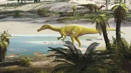 Descubren nueva especie de dinosaurio en país europeo