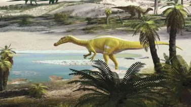 Descubren nueva especie de dinosaurio en país europeo