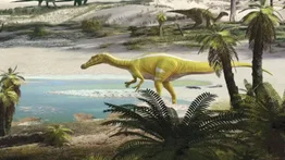 Descubren nueva especie de dinosaurio en país europeo