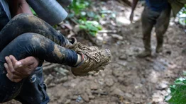 Rescatan a un niño de cinco años abandonado en la selva del Darién