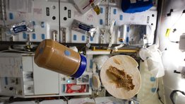 NASA realiza concurso para resolver la comida de sus astronautas
