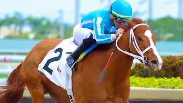 Mage, Castellano y Delgado a la conquista del Preakness Stakes Mage, Castellano y Delgado a la conquista del Preakness Stakes