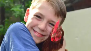 Las gallinas no solo son ponedoras, también pueden ser mascotas Las gallinas no solo son ponedoras, también pueden ser mascotas