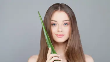 Cómo hacer crecer el cabello con sábila Cómo hacer crecer el cabello con sábila
