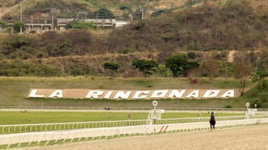 ¡Una boloña para cuadro único con 6 en La Rinconada!