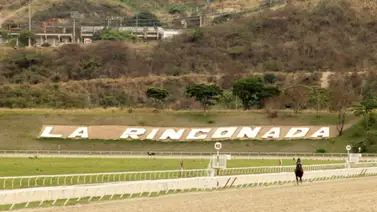 ¡Una boloña para cuadro único con 6 en La Rinconada! ¡Una boloña para cuadro único con 6 en La Rinconada!