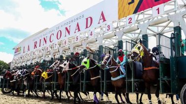 Instituto Nacional de Hipódromos anuncia los inscritos para la reunión 19 en La Rinconada
