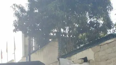 Gandola de Pdvsa chocó contra una pared en La Urbina (+Fotos) Gandola de Pdvsa chocó contra una pared en La Urbina (+Fotos)