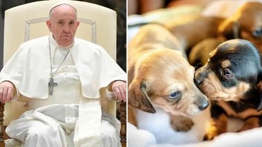 El Papa Francisco regaña a una señora por tratar a su mascota como a un hijo